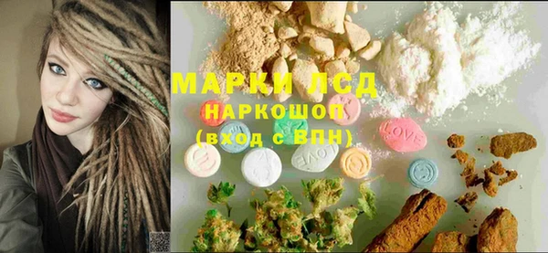 гашик Кулебаки