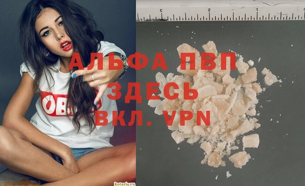 spice Верея