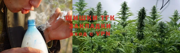 spice Верея